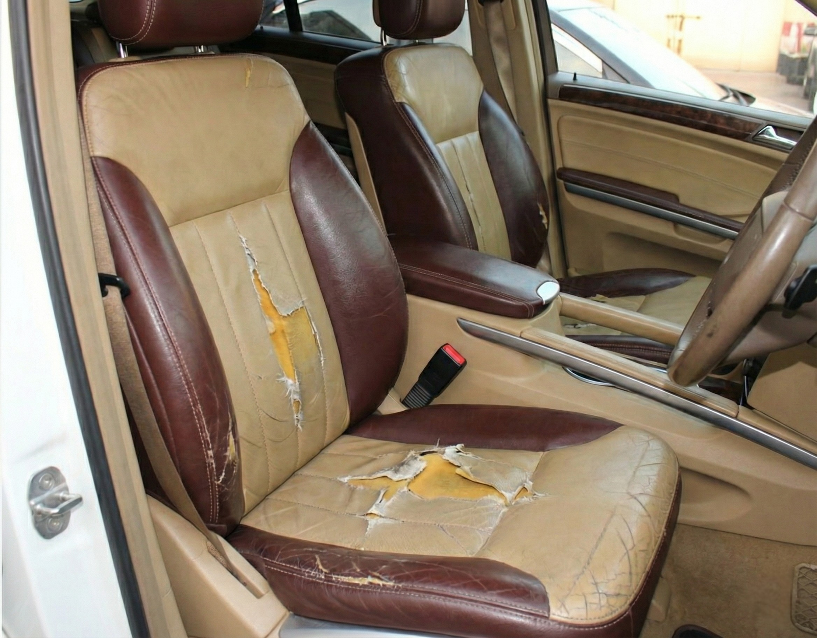 Before Transformation